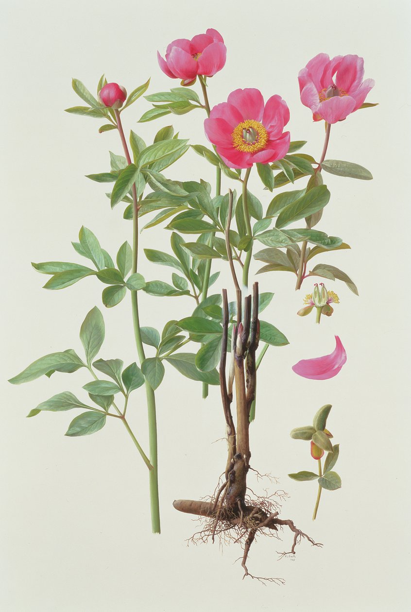  by Raymond Booth