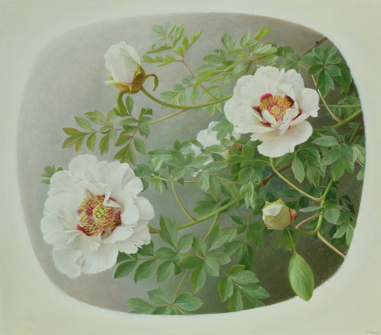  by Raymond Booth