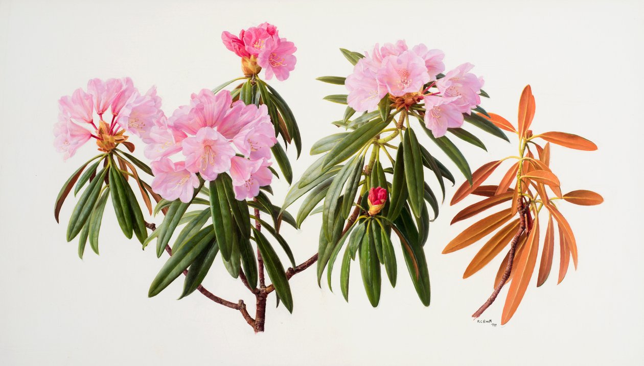  by Raymond Booth