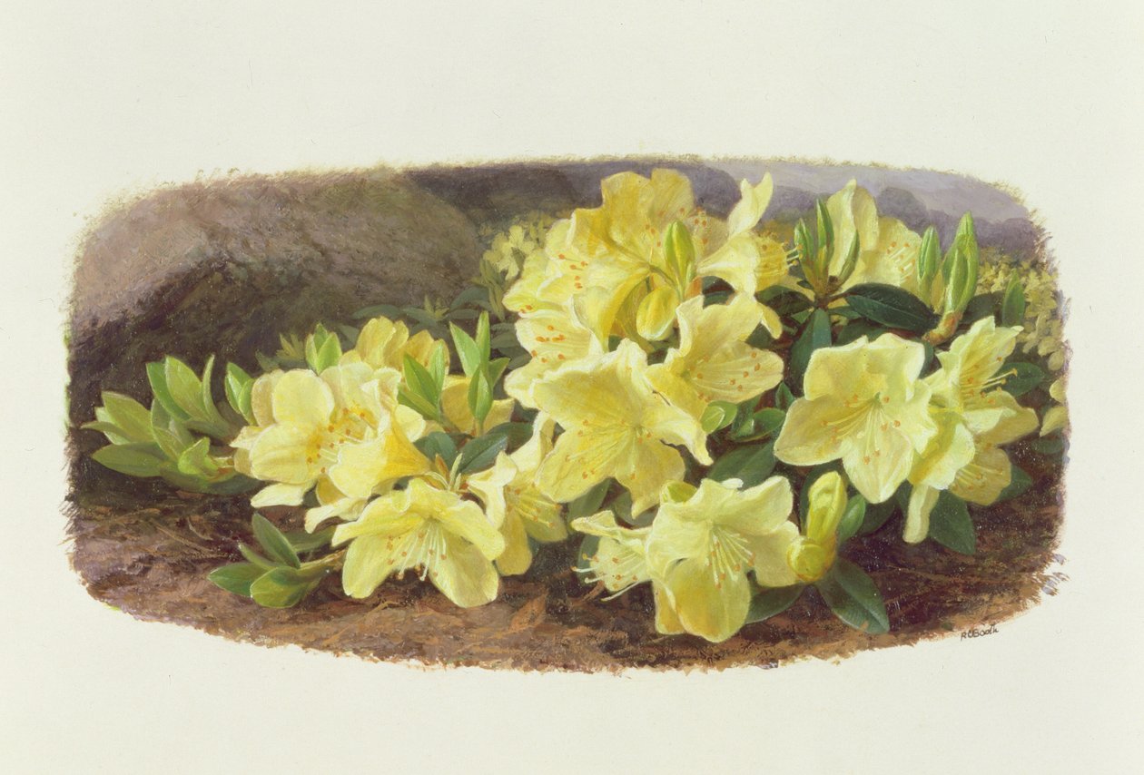  by Raymond Booth