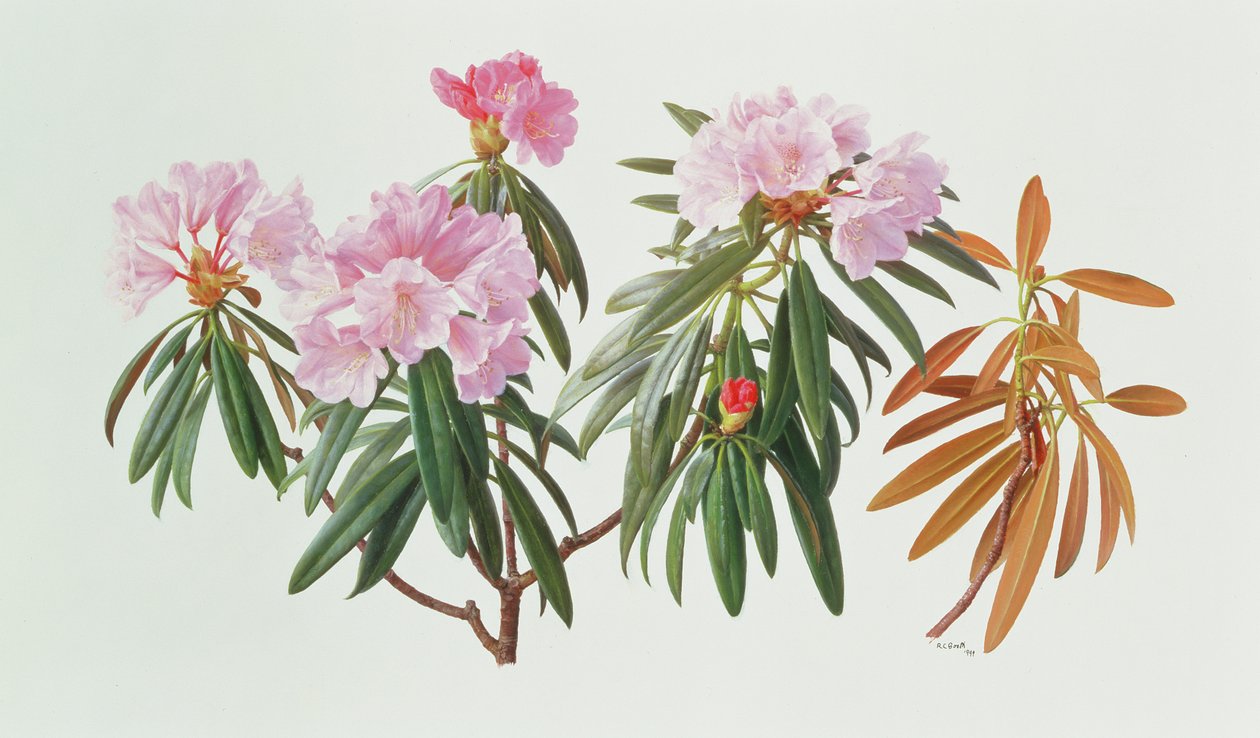  by Raymond Booth