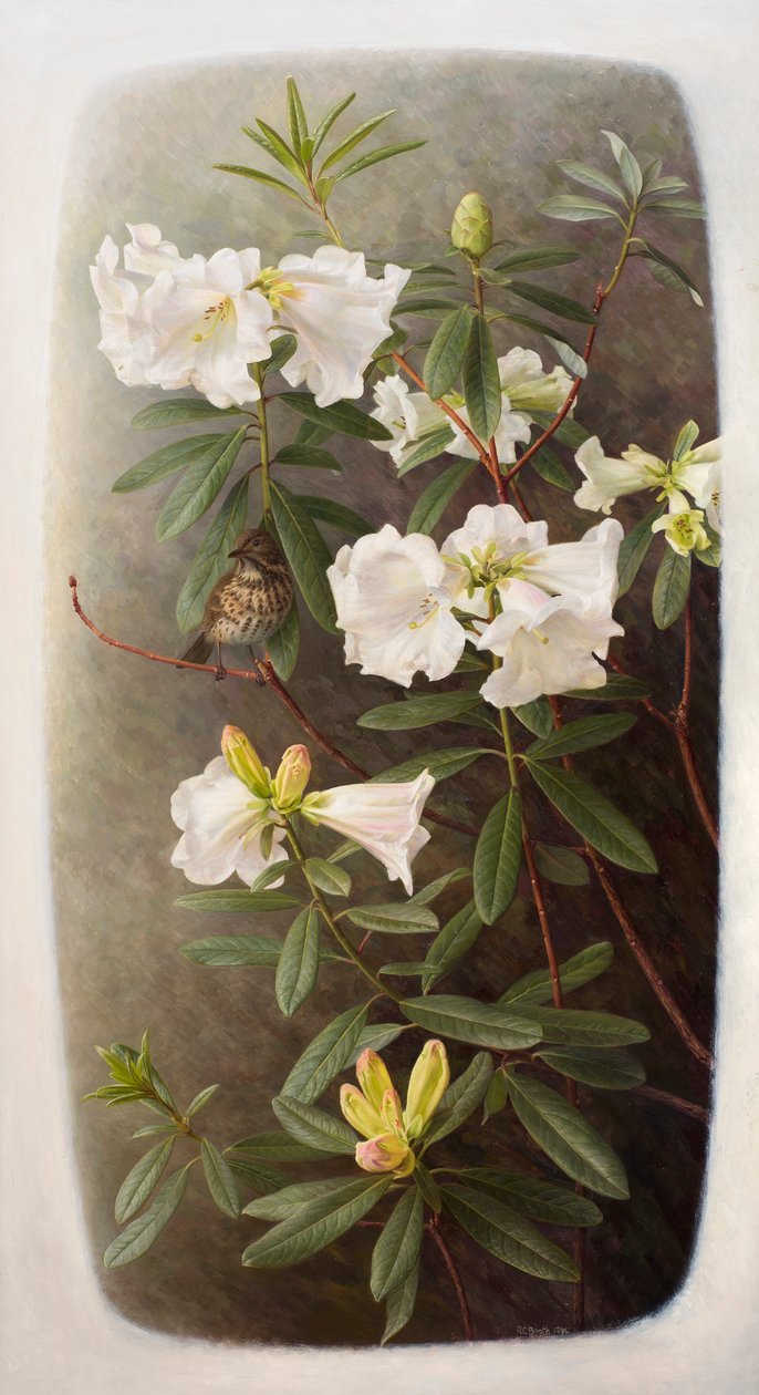  by Raymond Booth