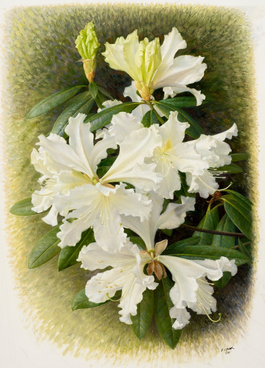  by Raymond Booth