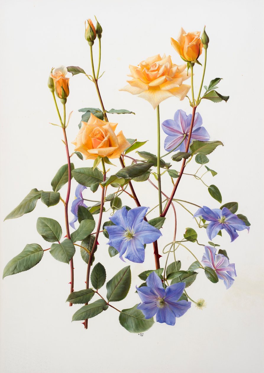  by Raymond Booth