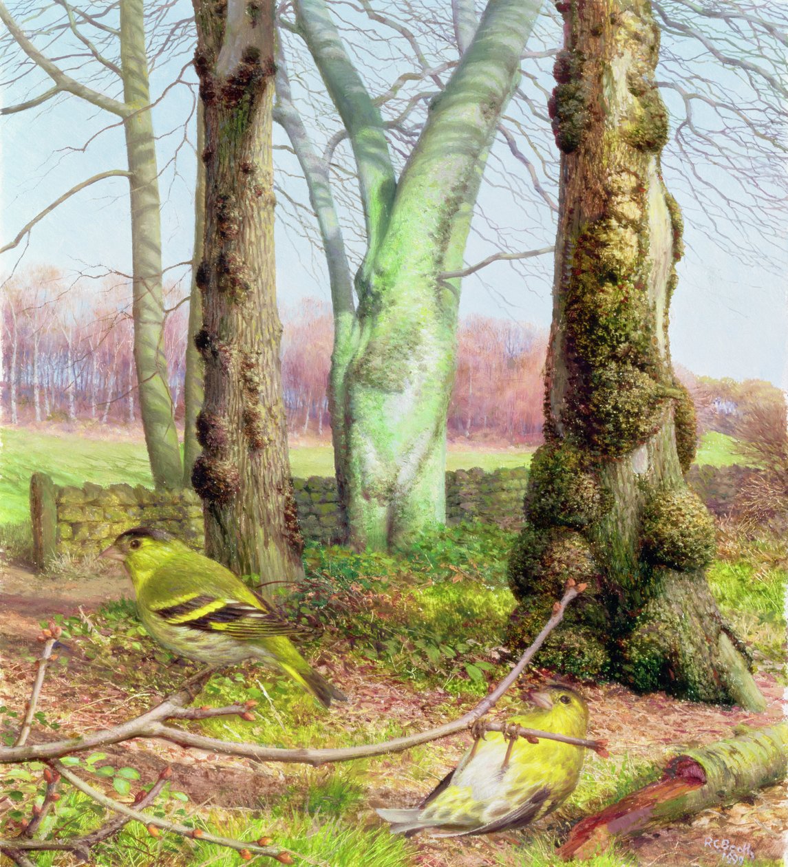 by Raymond Booth