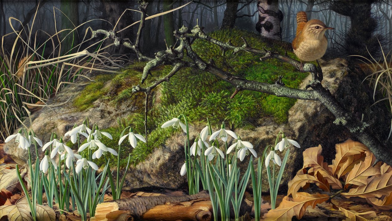  by Raymond Booth