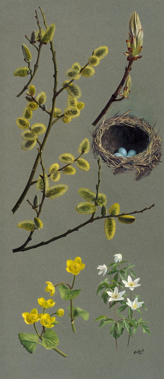  by Raymond Booth