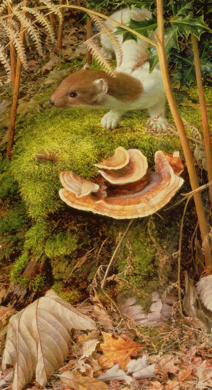  by Raymond Booth