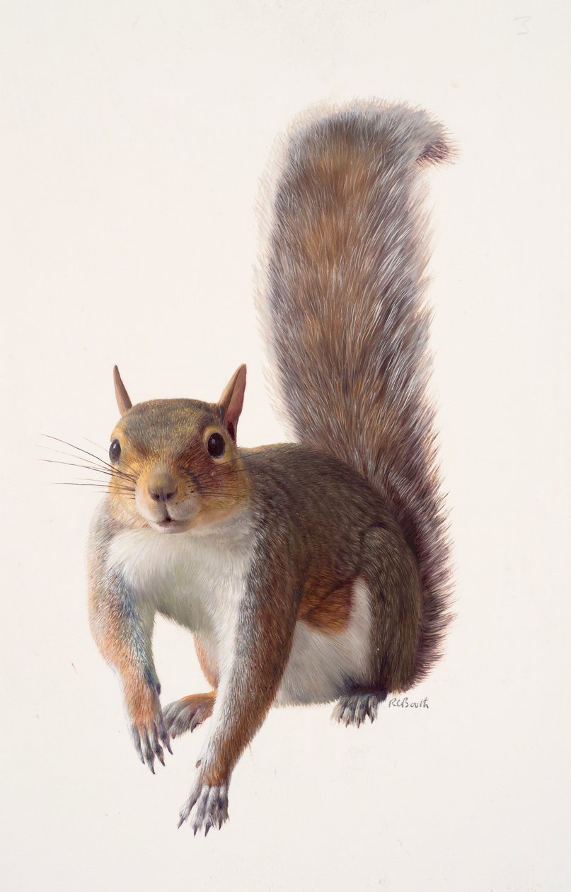  by Raymond Booth