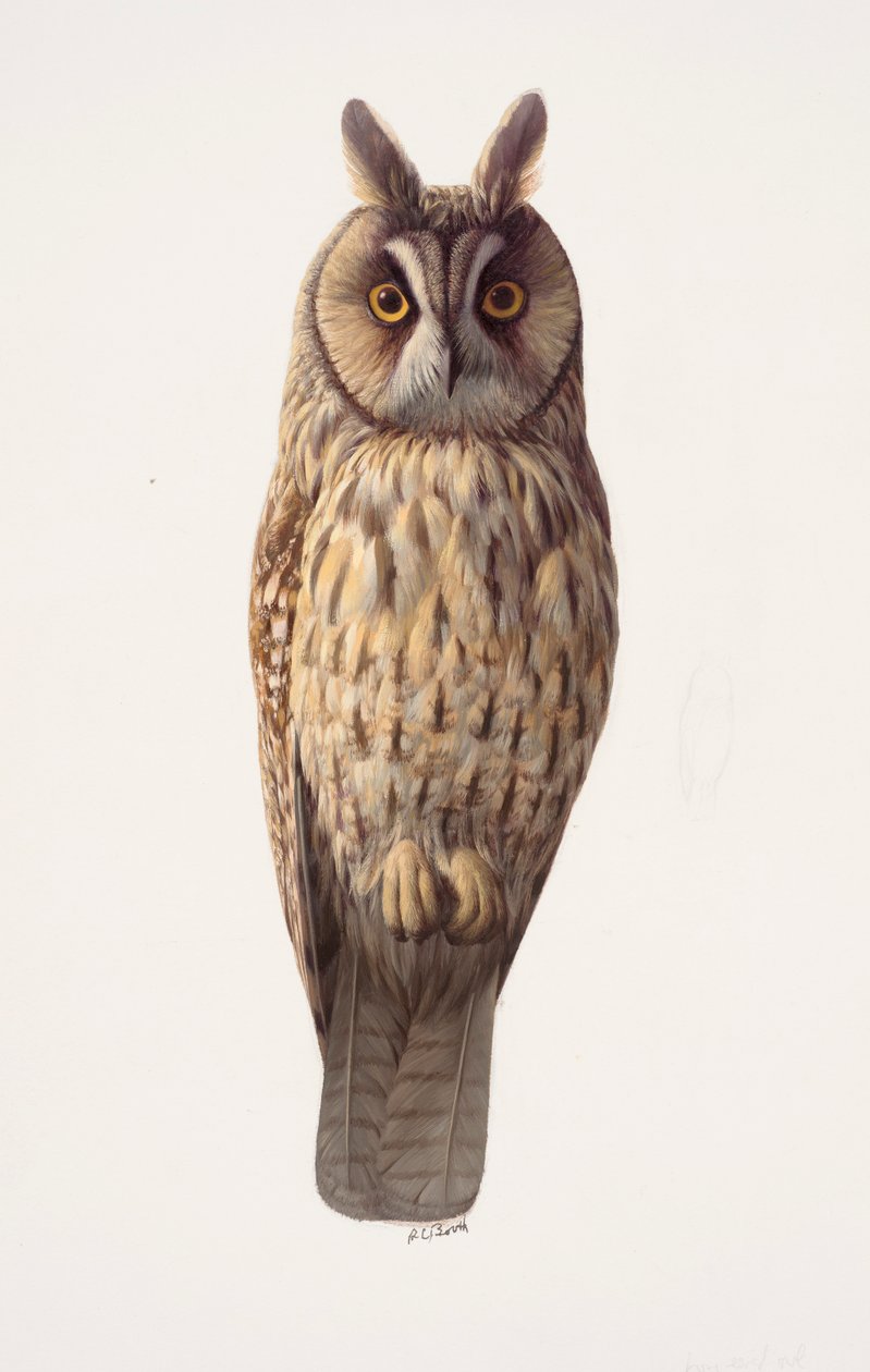  by Raymond Booth