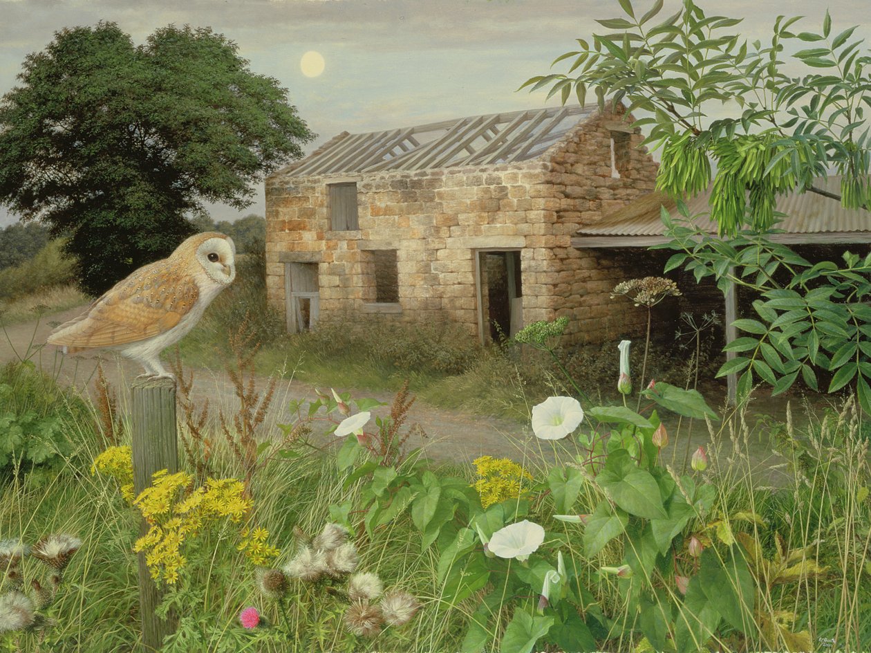  by Raymond Booth