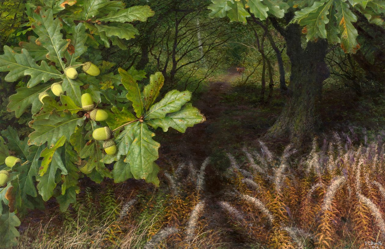  by Raymond Booth