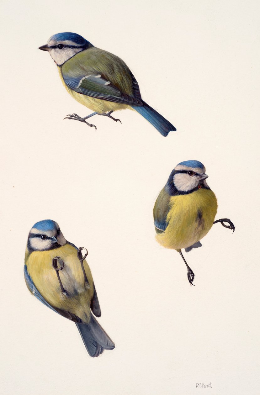  by Raymond Booth