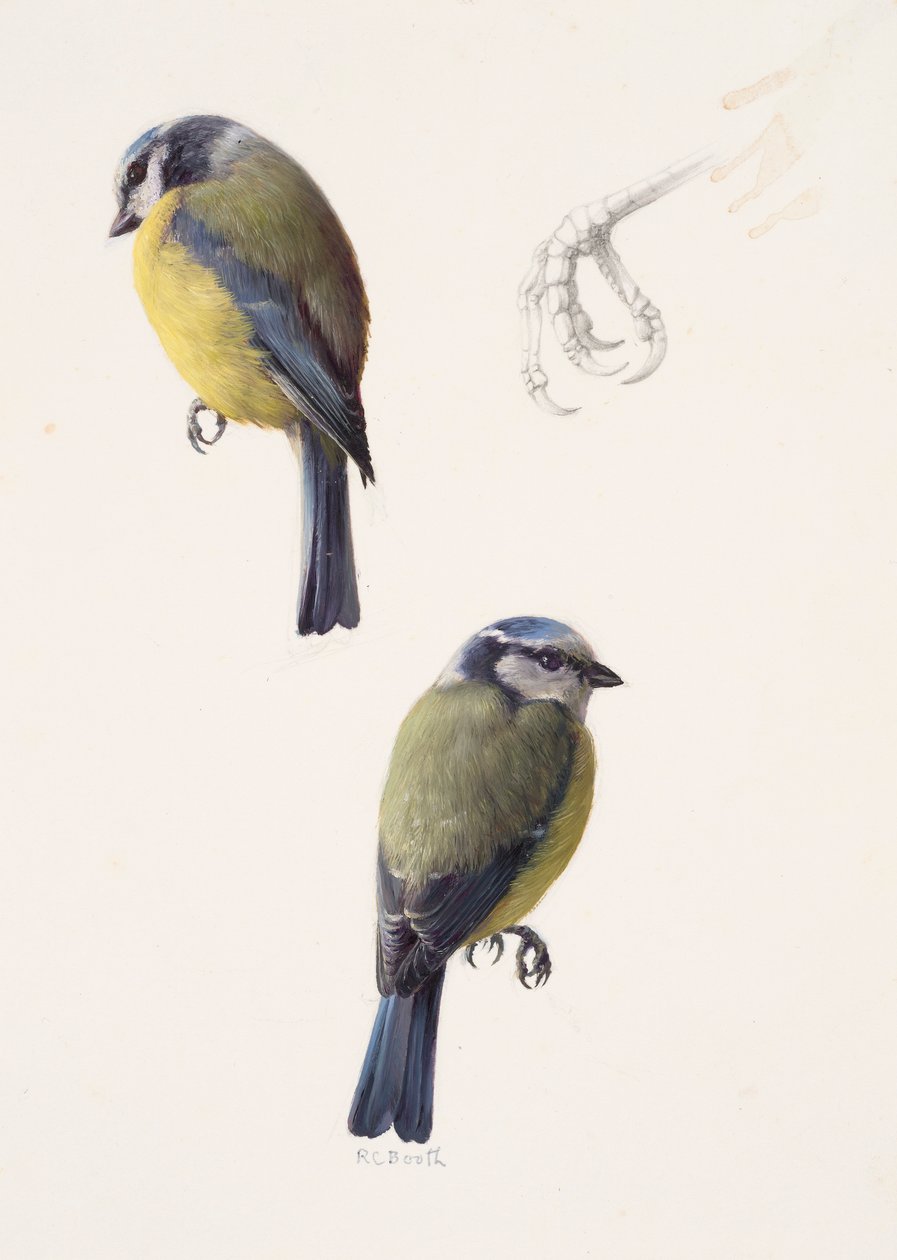  by Raymond Booth