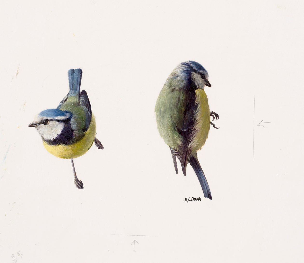  by Raymond Booth