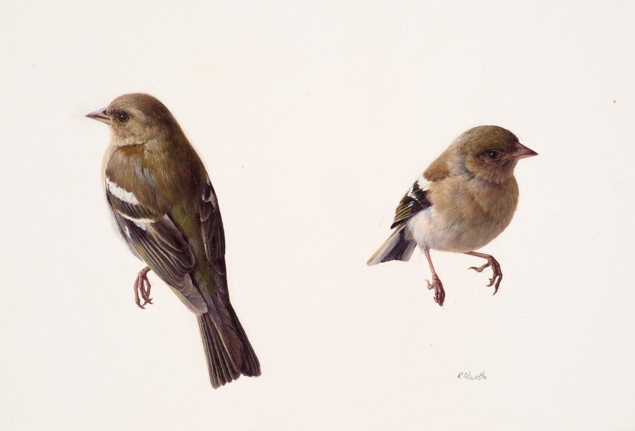  by Raymond Booth