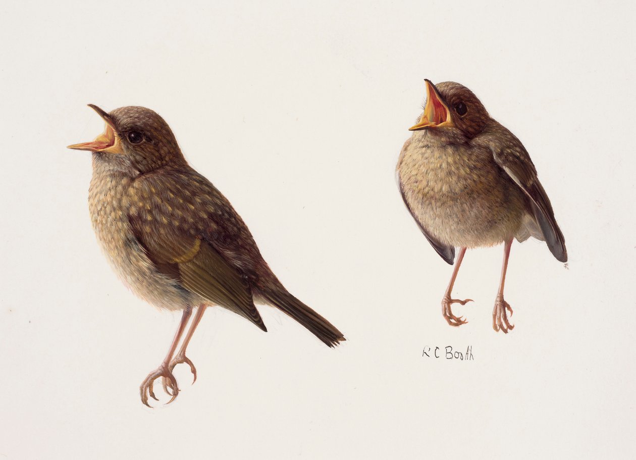  by Raymond Booth