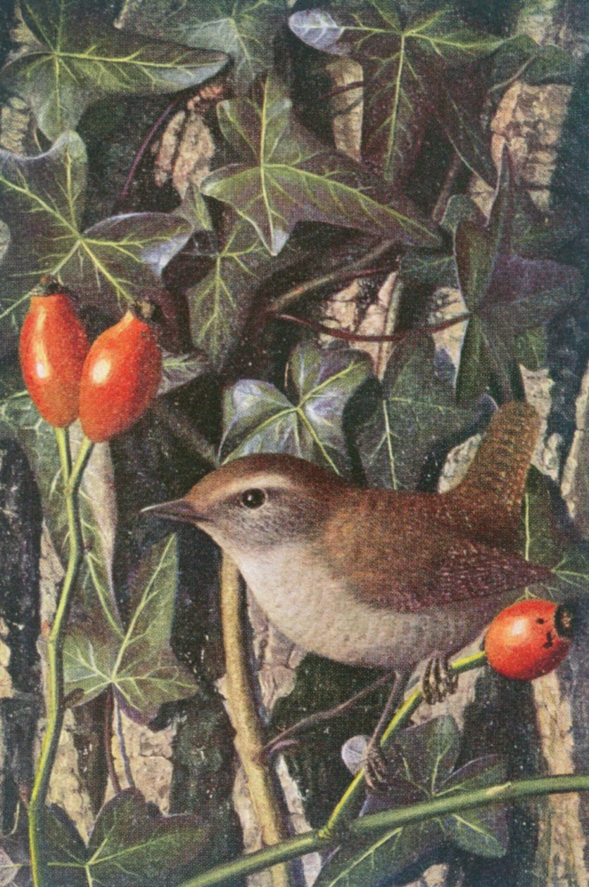  by Raymond Booth