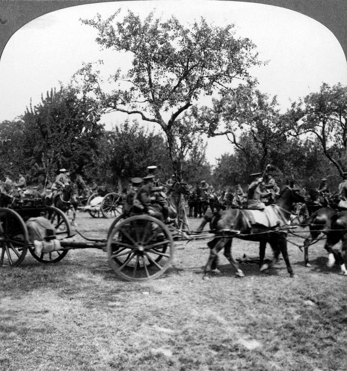 Atlı topçu, Birinci Dünya Savaşı, 1914-1918. by Realistic Travels Publishers