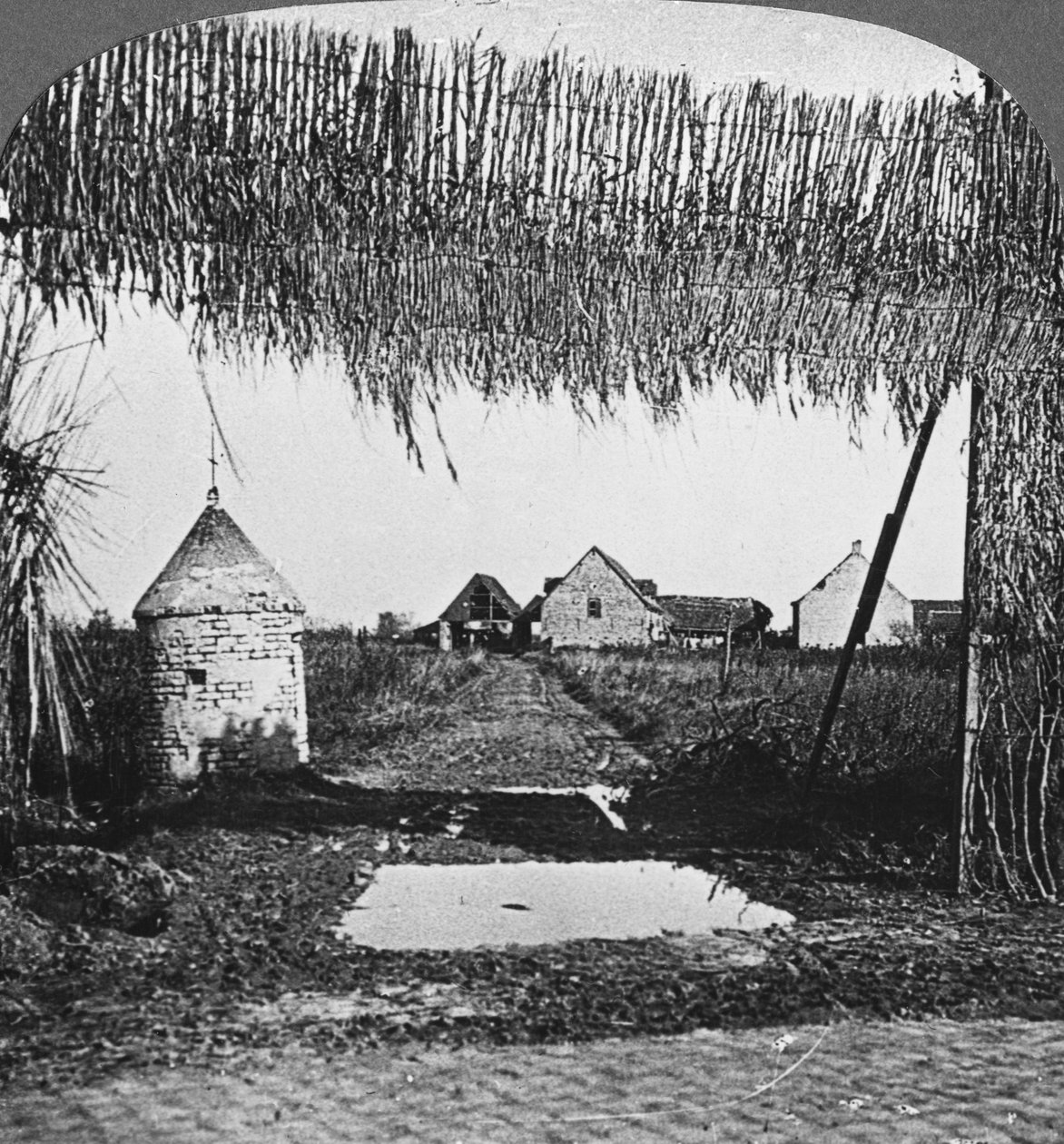 Ustaca kamuflaj, I. Dünya Savaşı, c1914-c1918. by Realistic Travels Publishers