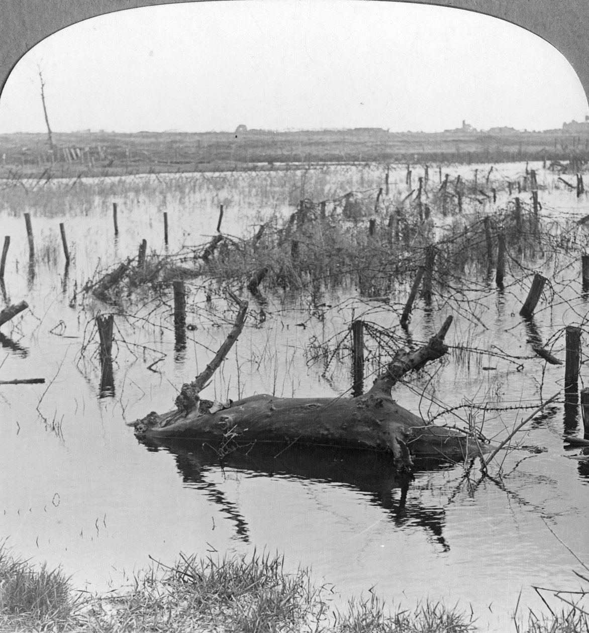 Nieuwpoort, Belçika, I. Dünya Savaşı, c1914-c1918