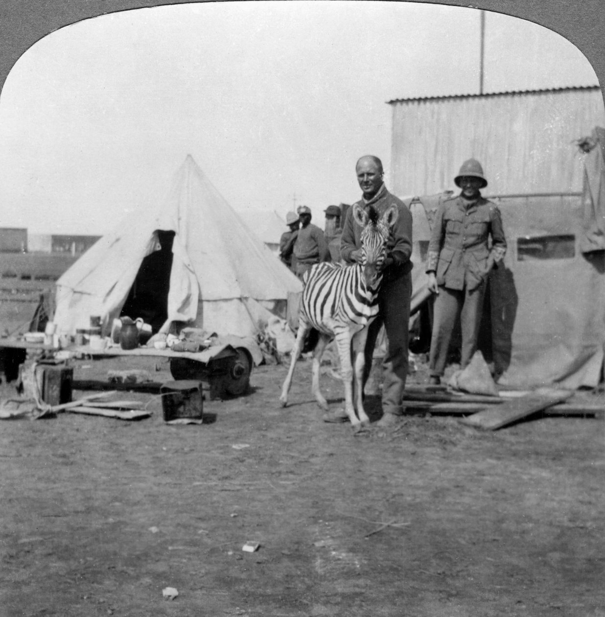 Güney Afrikalı topçular, evcil hayvan zebralarıyla, Doğu Afrika, I. Dünya Savaşı, 1914-1918. by Realistic Travels Publishers
