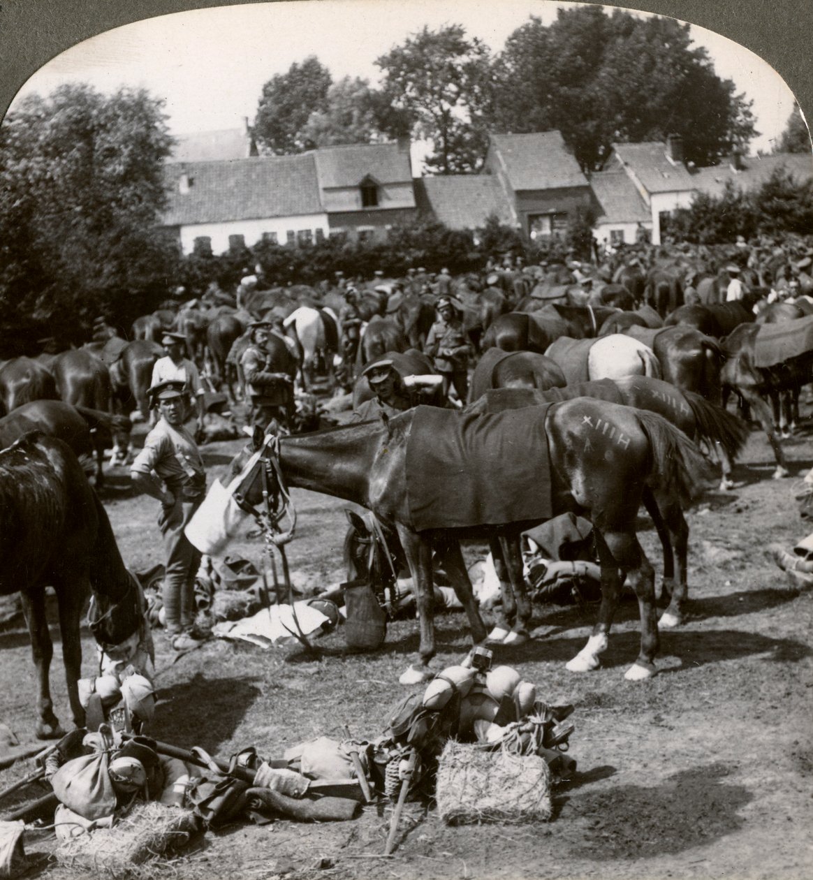 Atlarını besleyen ve yürüyüşte dinlenen birlikler, Birinci Dünya Savaşı, 1914-1918. by Realistic Travels Publishers