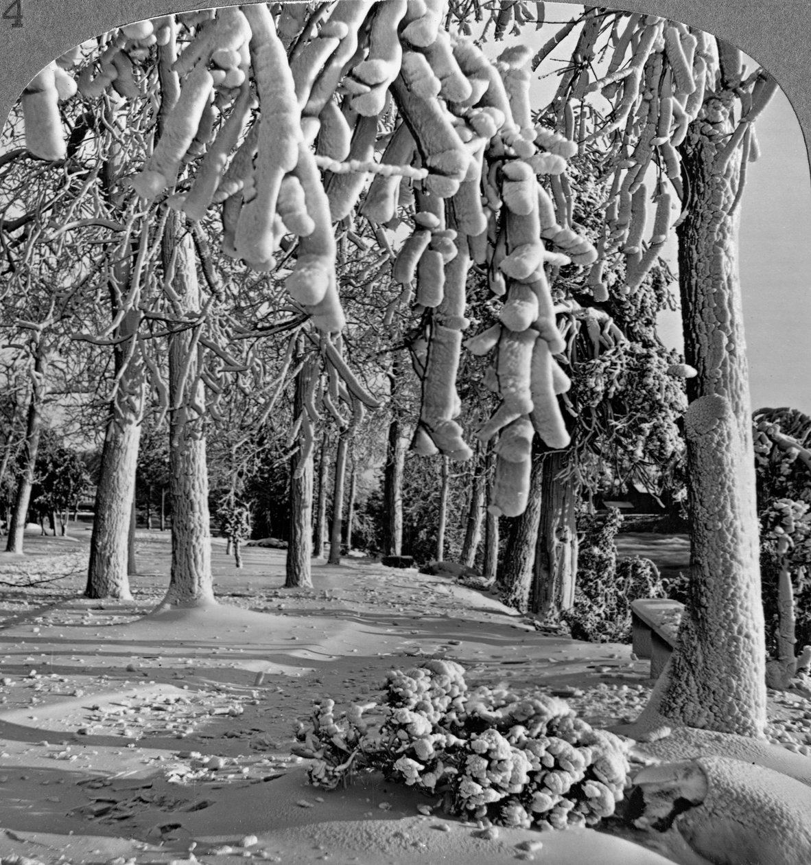 Kış sahnesi, Keçi Adası, Niagara Şelalesi, New York, ABD. by Realistic Travels Publishers