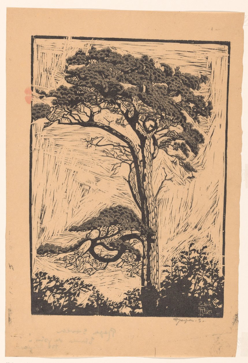 Çam Etude de pin (nesne üzerindeki başlık) by Reijer Stolk (signed by artist)