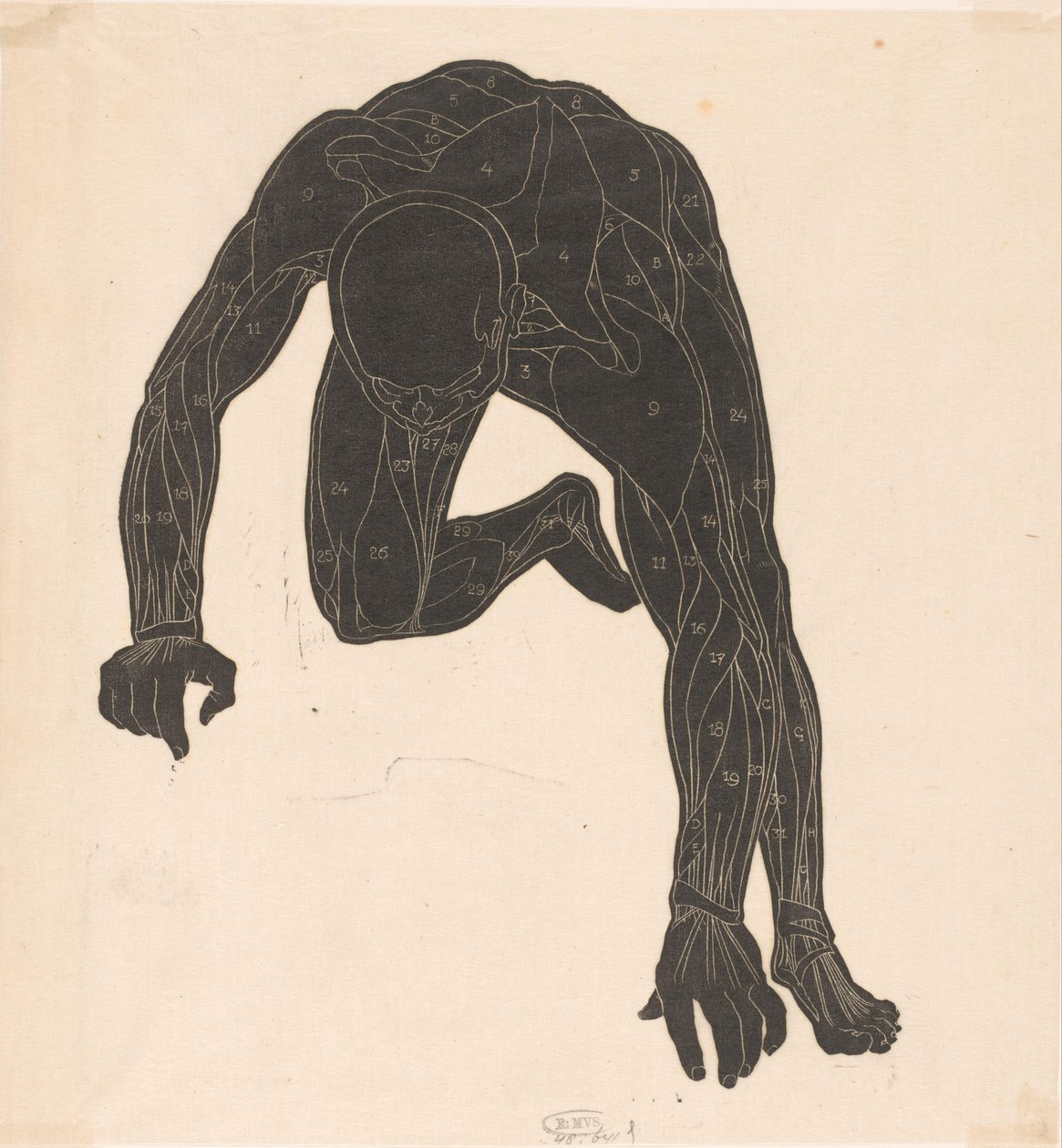 Siluet halindeki bir adamın boyun, kol ve bacak kaslarının anatomik çalışması by Reijer Stolk