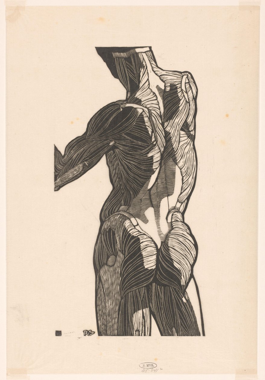 Bir erkeğin sırtı ve kalçalarının anatomik çalışması by Reijer Stolk