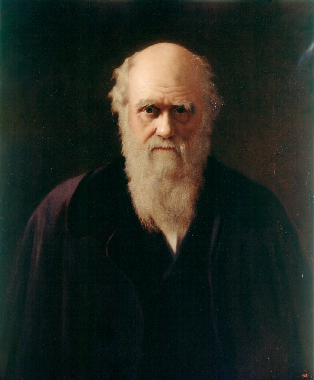 Charles Darwin (gemide petrol) by Reilly Reilly