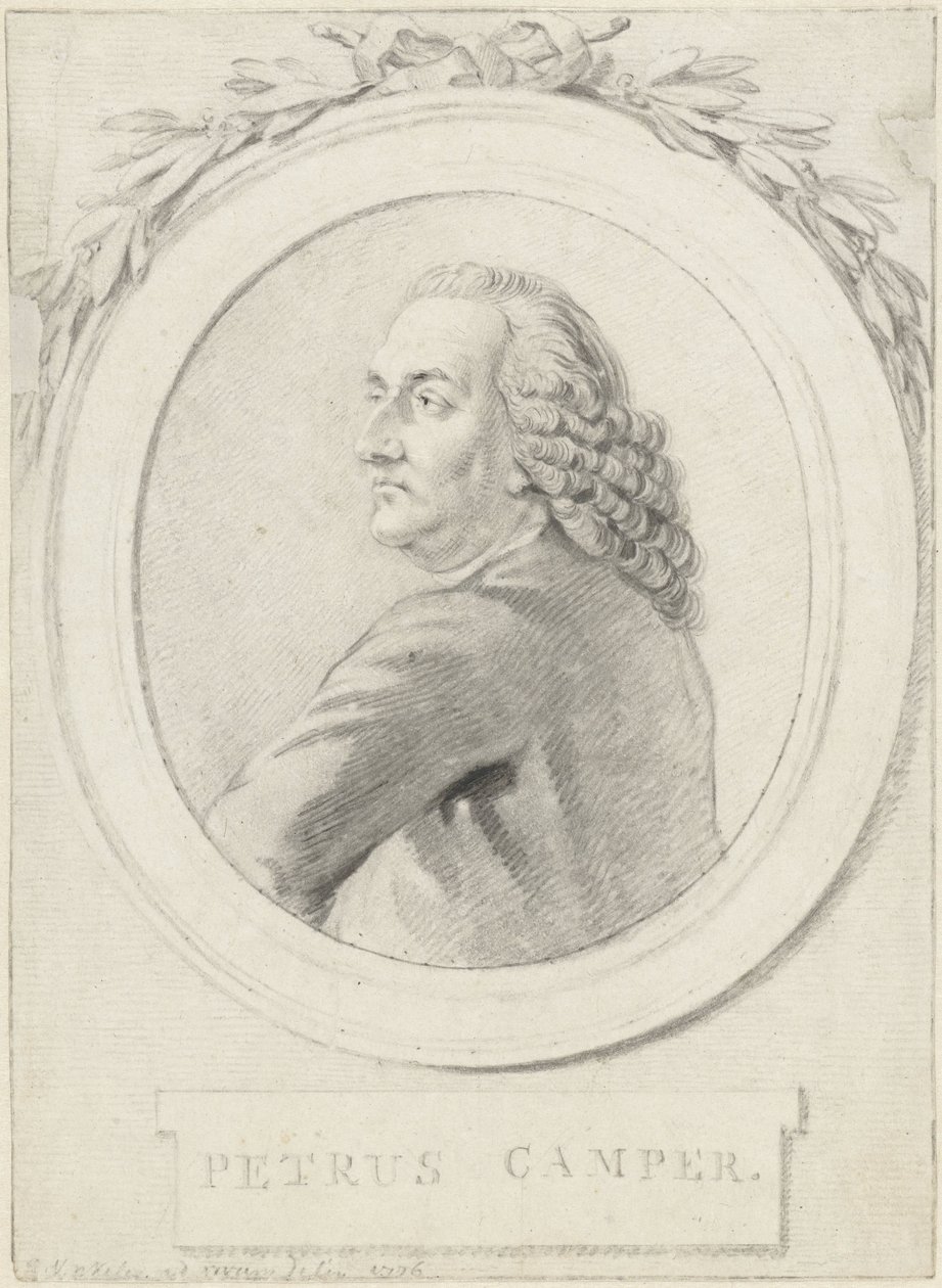 Profesör Petrus Camper