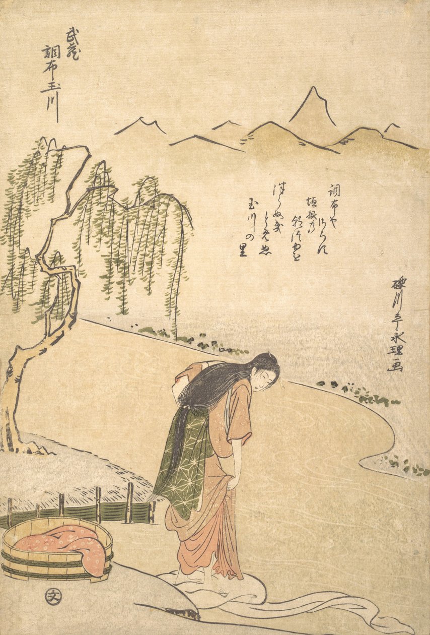 Chov Tama Nehri, Musashi