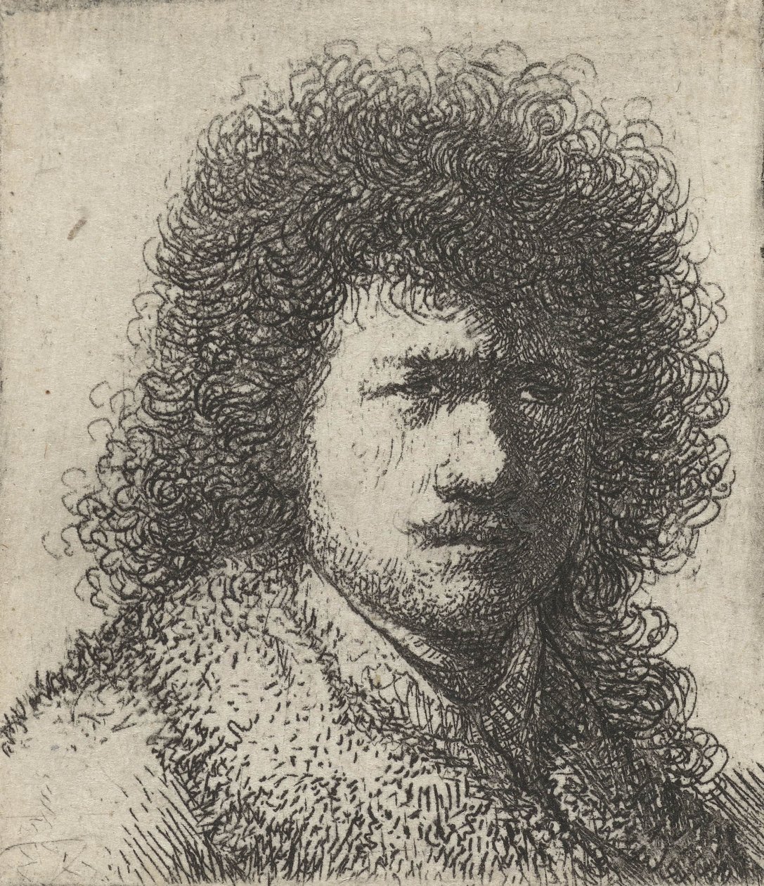 Dağınık saçlı otoportre, 1628-31 by Rembrandt van Rijn