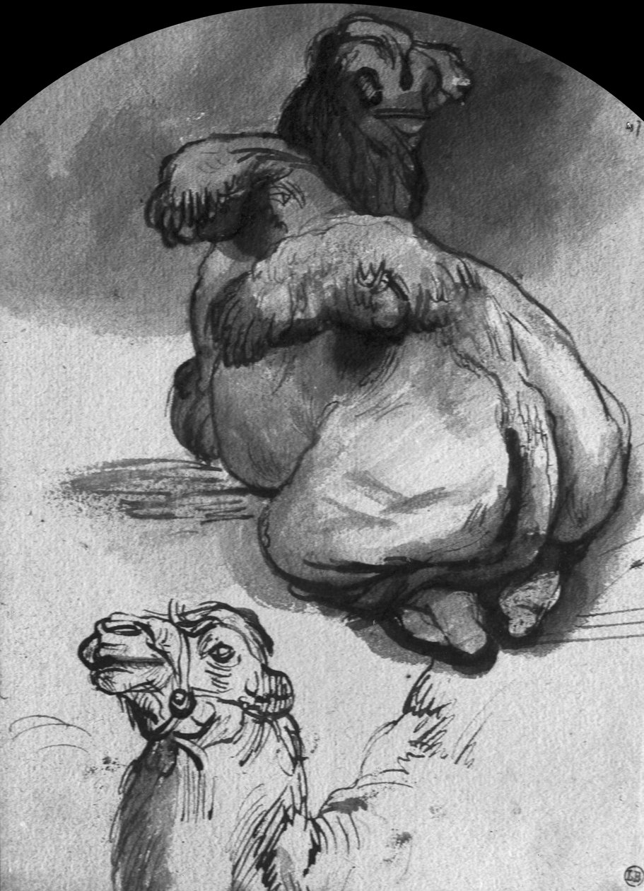 Develer (kalem ve mürekkep ve kağıt üzerinde yıkama) by Rembrandt van Rijn