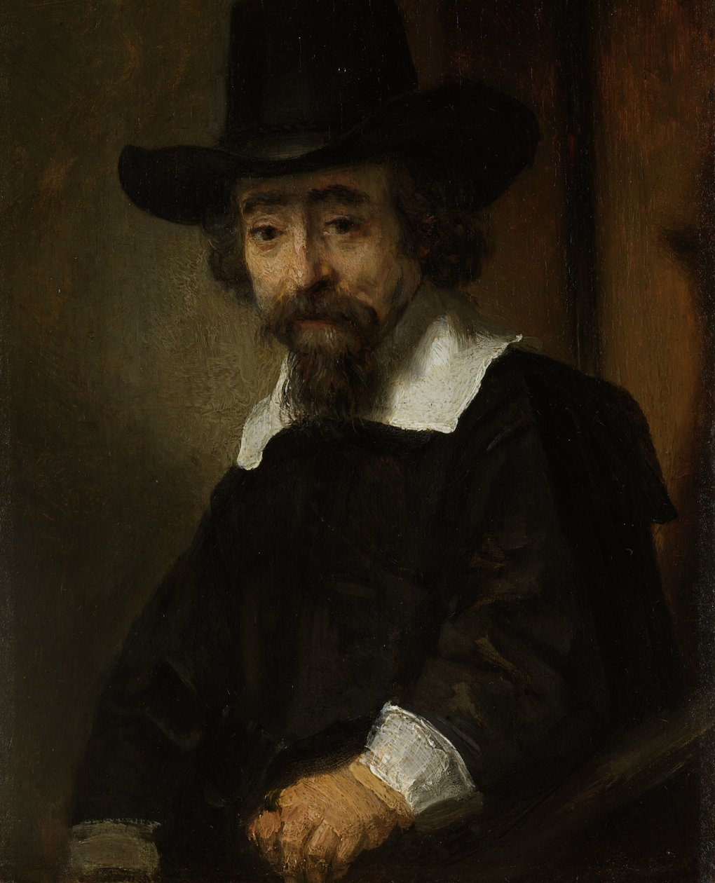 Bir adamın portresi, muhtemelen Dr. Ephraïm Bueno by Rembrandt van Rijn