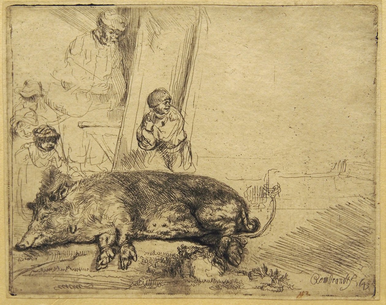Domuz by Rembrandt van Rijn