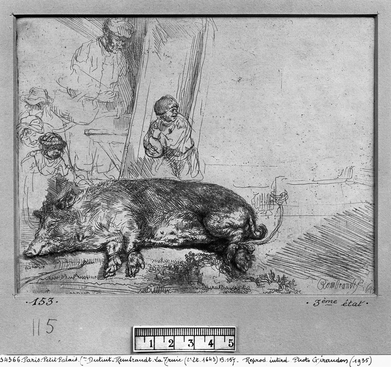 Domuz, 1643 by Rembrandt van Rijn