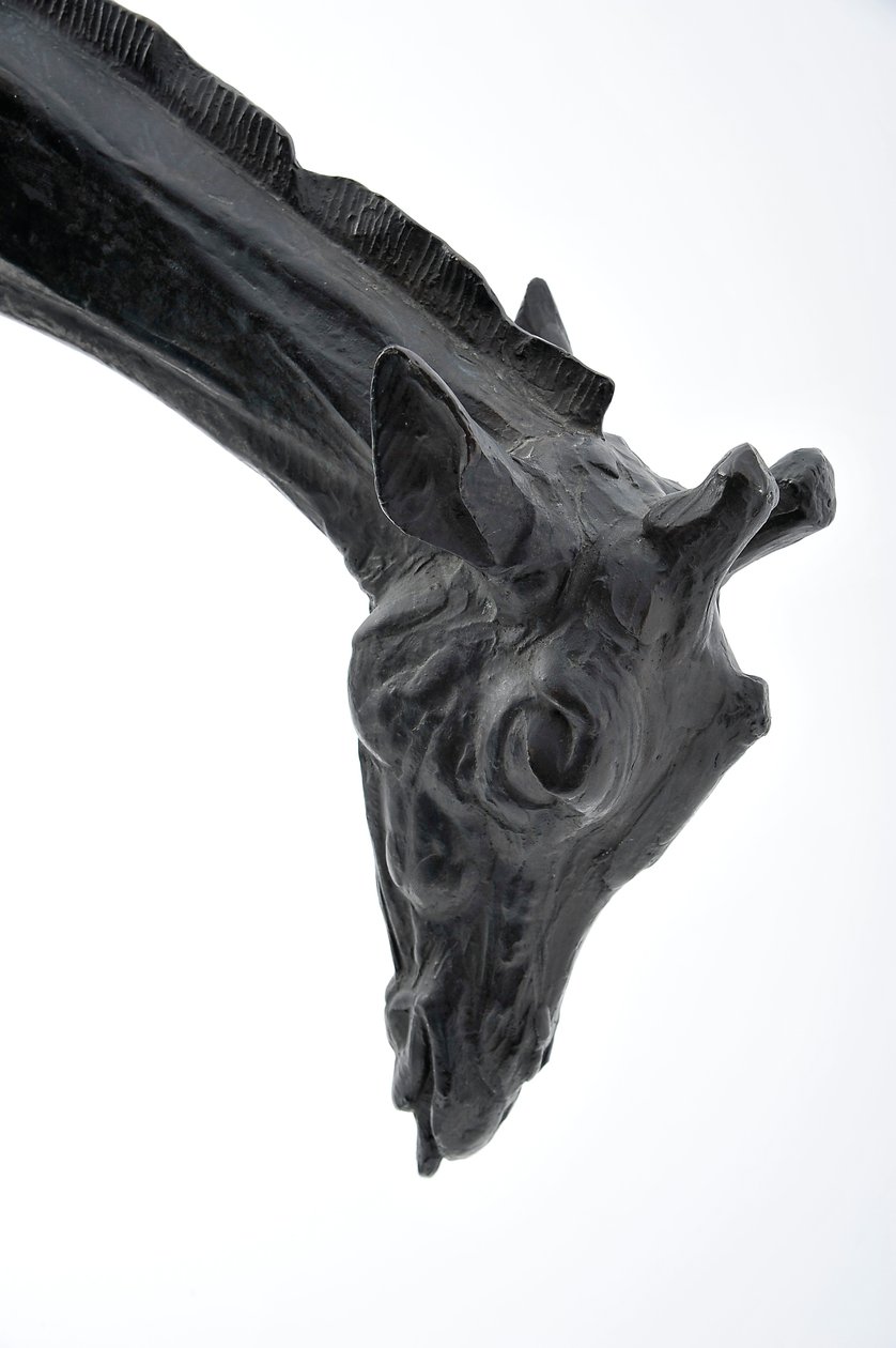 Başı Alçaltılmış Büyük Zürafa, 1909-10 modellenmiştir, 1913