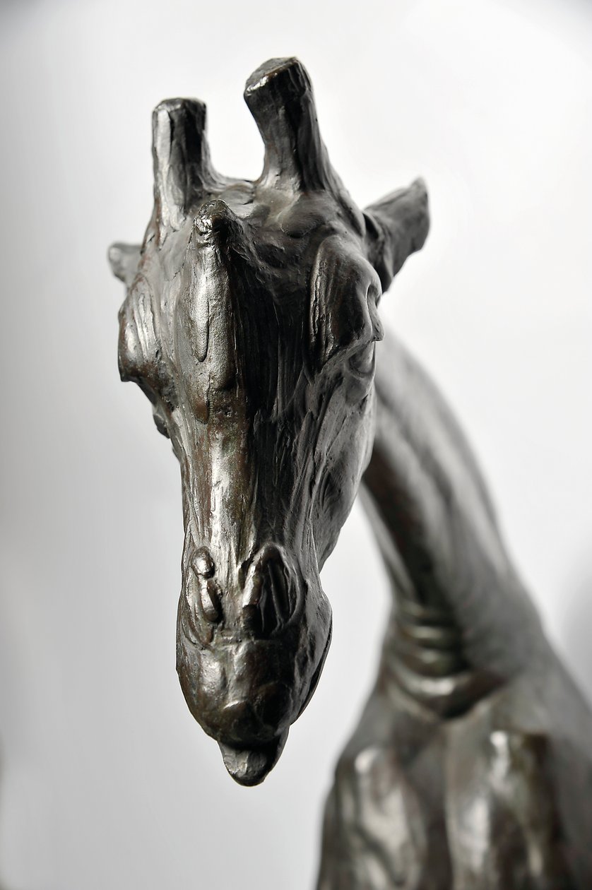Başı Alçaltılmış Büyük Zürafa, 1909-10 modellenmiştir, 1913