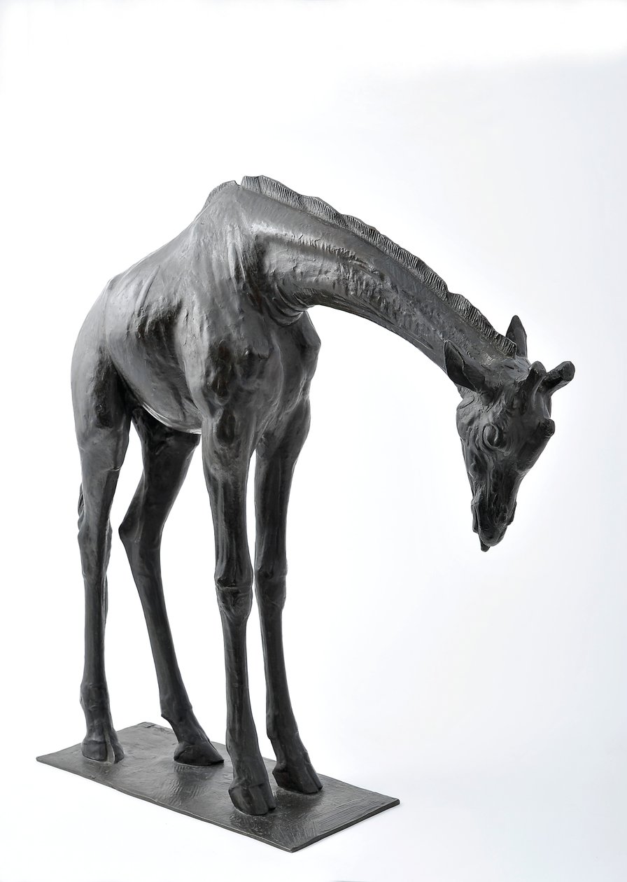 Başı Alçaltılmış Büyük Zürafa, 1909-10 modellenmiştir, 1913