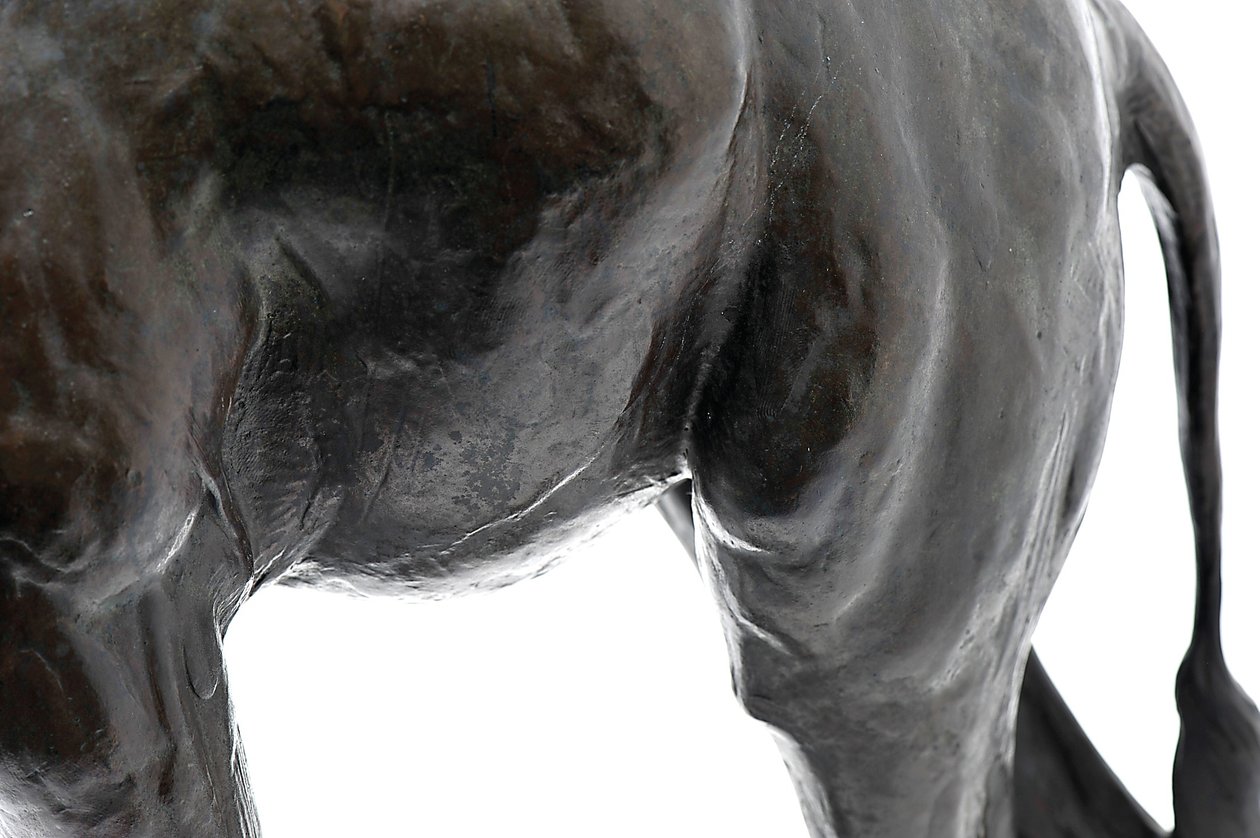 Başı Alçaltılmış Büyük Zürafa, 1909-10 modellenmiştir, 1913
