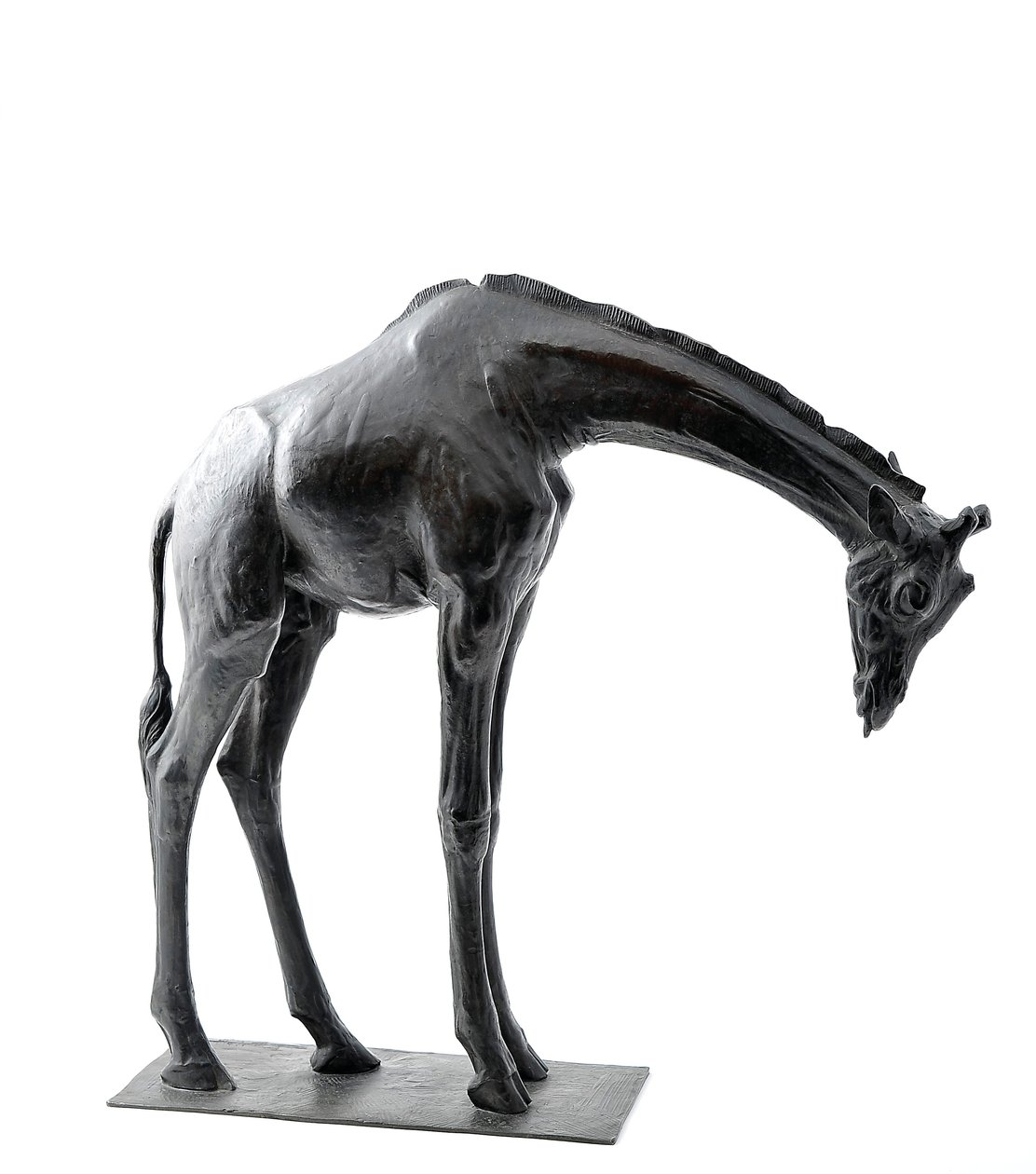 Başı Alçaltılmış Büyük Zürafa, 1909-10 modellenmiştir, 1913