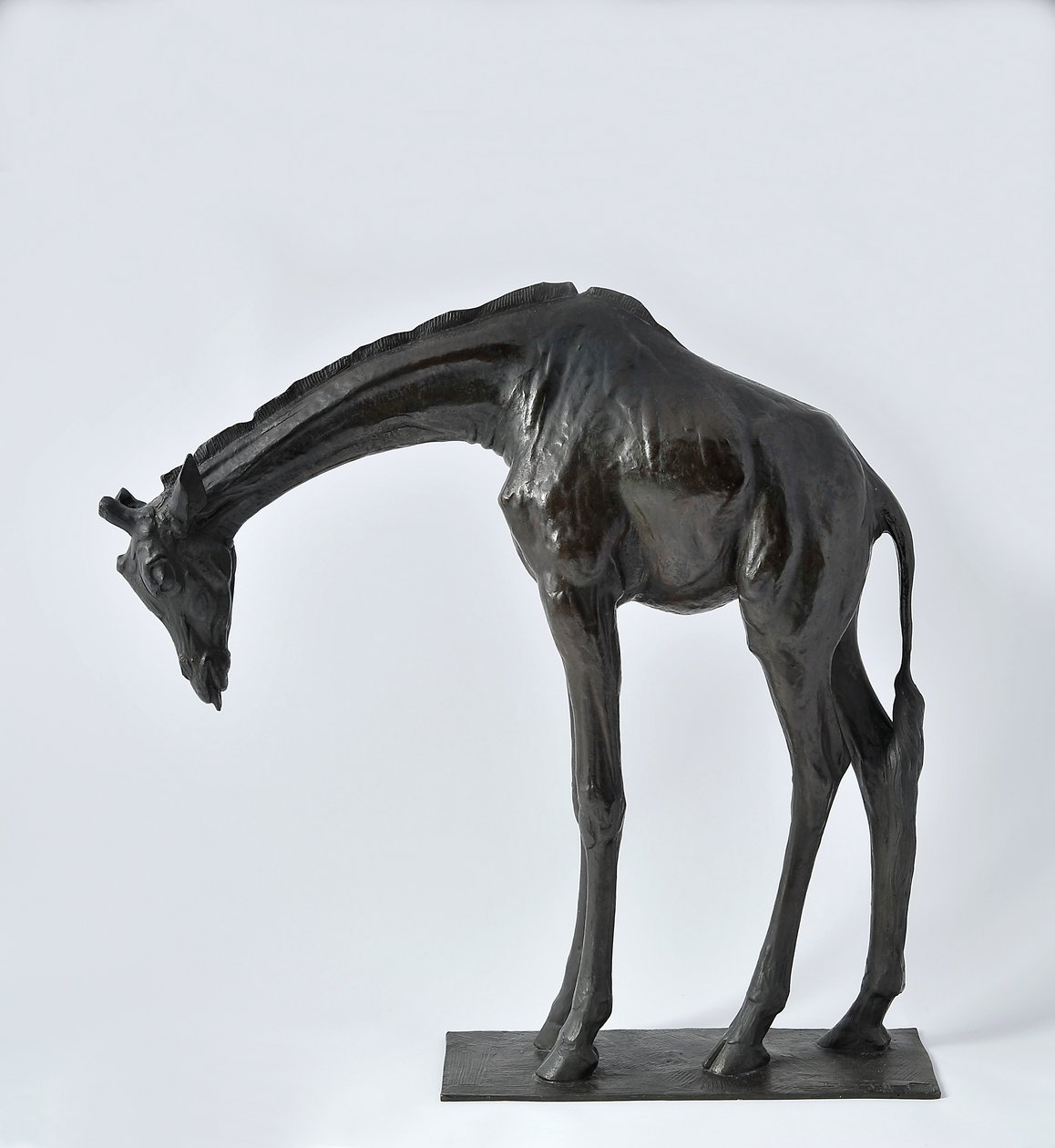 Başı Alçaltılmış Büyük Zürafa, 1909-10 modellenmiştir, 1913