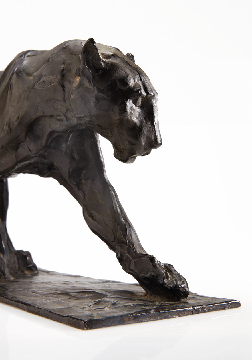Panter yürüyüşü, arka bacağı kaldırılmış, c.1904 (patine bronz) by Rembrandt Bugatti
