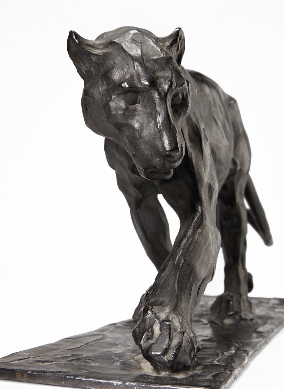 Panter yürüyüşü, arka bacağı kaldırılmış, c.1904 (patine bronz) by Rembrandt Bugatti