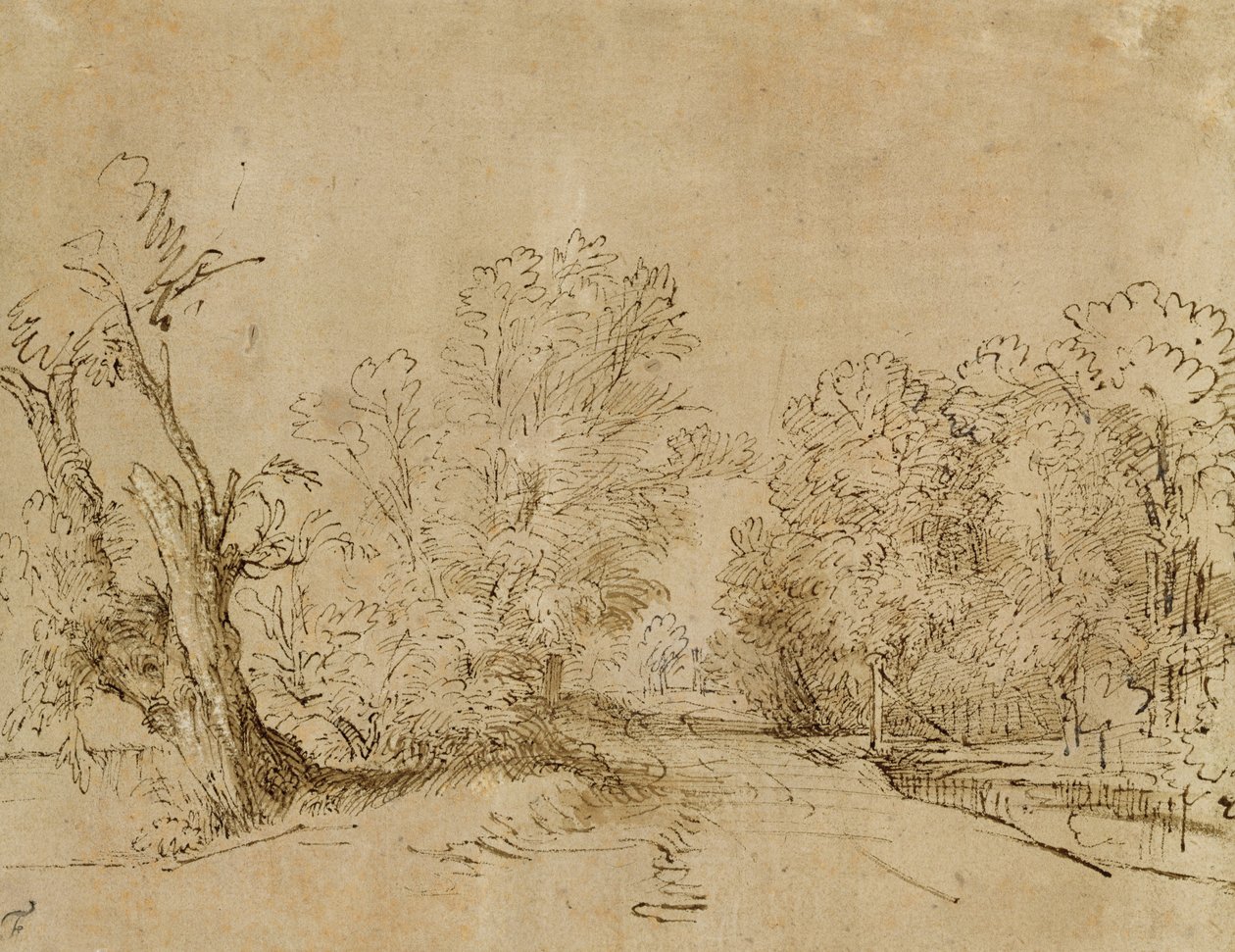 Ormanlık Bir Yol by Rembrandt van Rijn