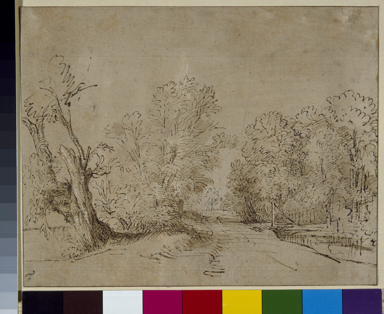 Ağaçlık bir yol, c.1650 (kağıt üzerine kalem ve mürekkep) by Rembrandt Harmensz. van Rijn