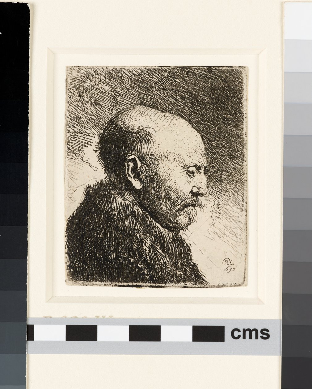 Profildeki kel kafalı adam değil mi: Rembrandt